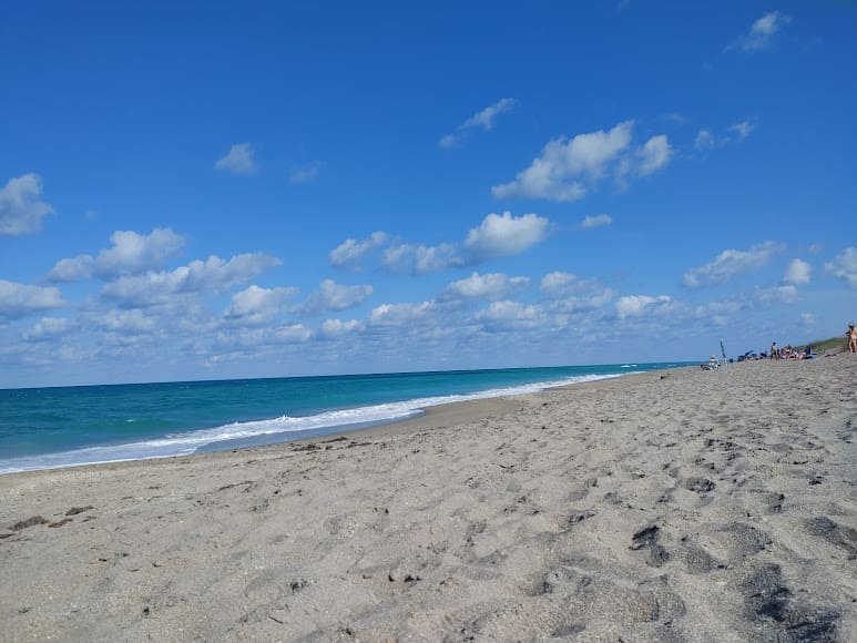 Blind Creek Beach Shore