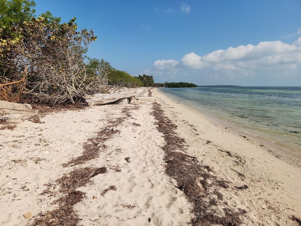 boca chica clothing optional beach