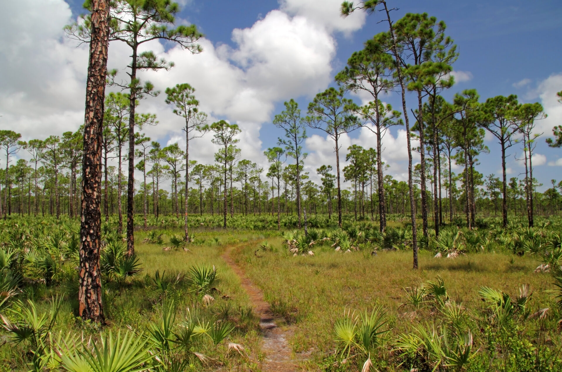 florida nature preserve