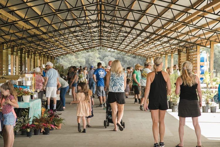 hobe sound farmers market