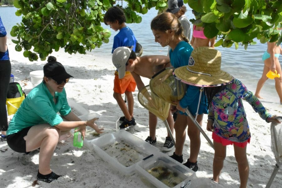 hobe sound nature center summer camp