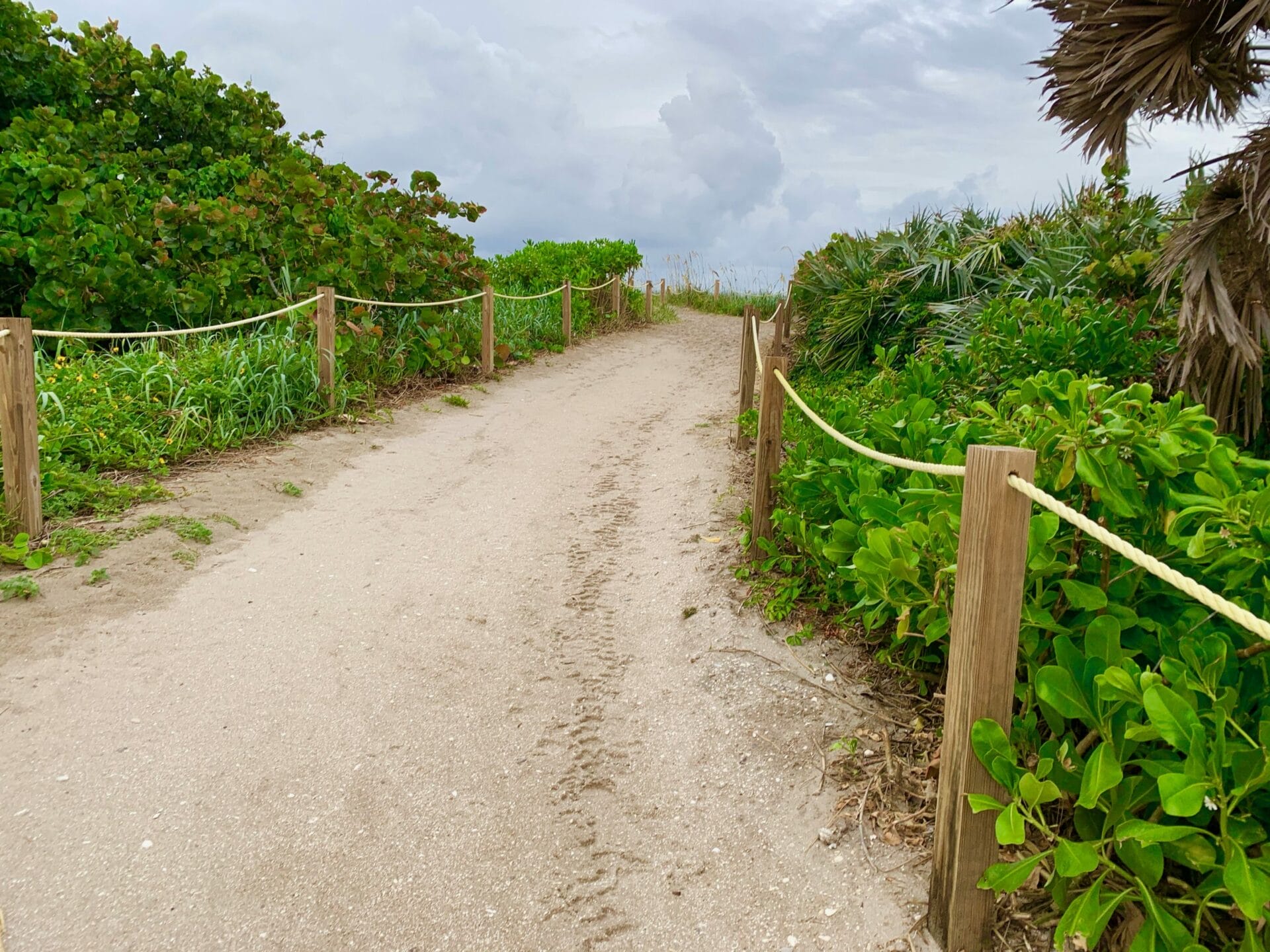 Waveland Beach