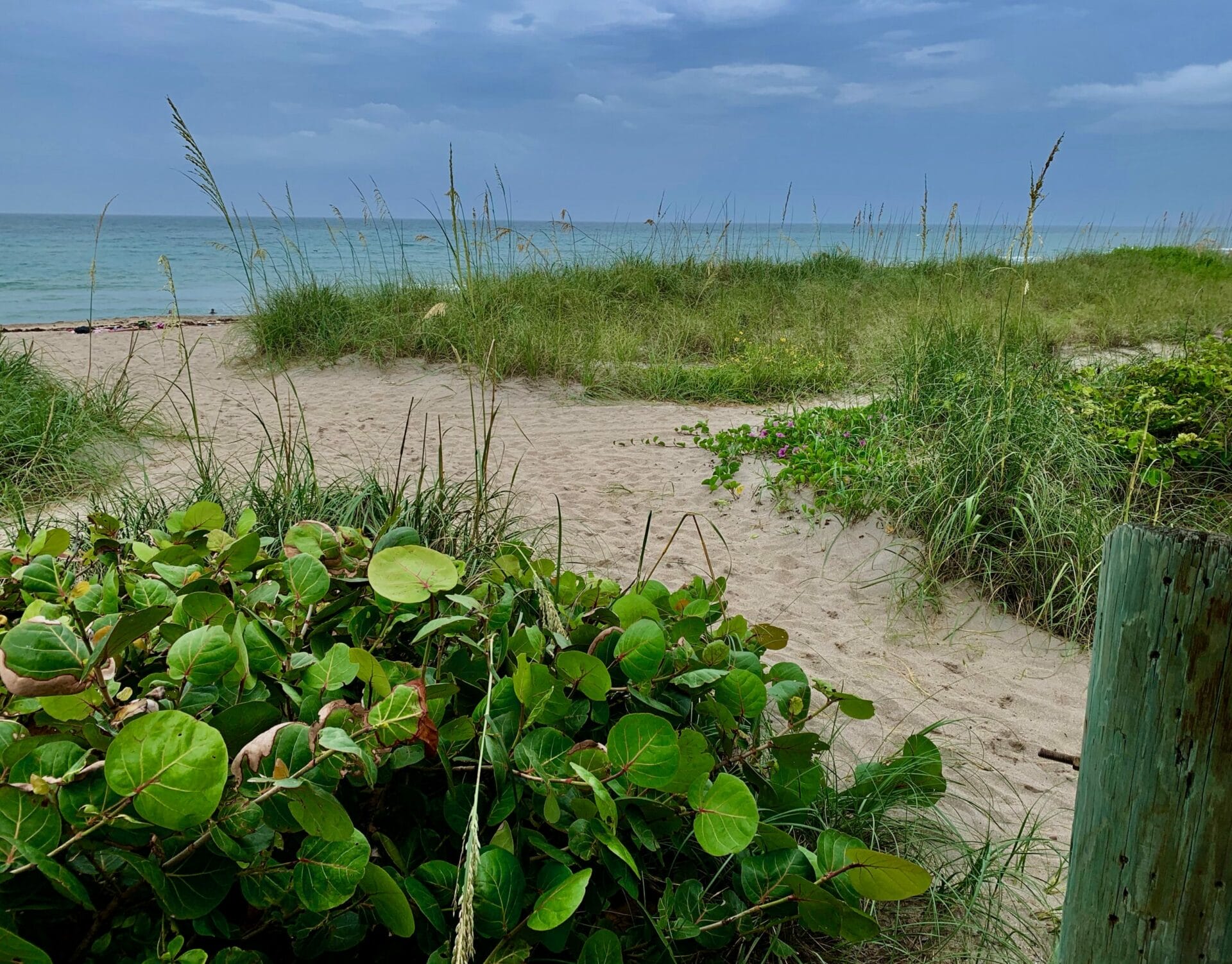 Jensen Beach