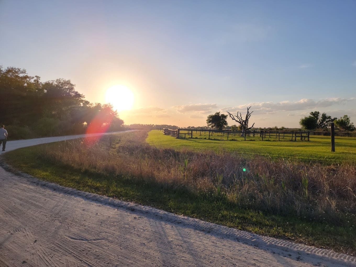 kissimmee prairie preserve state park