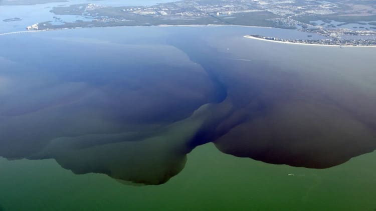 discharges from lake okeechobee treasure coast