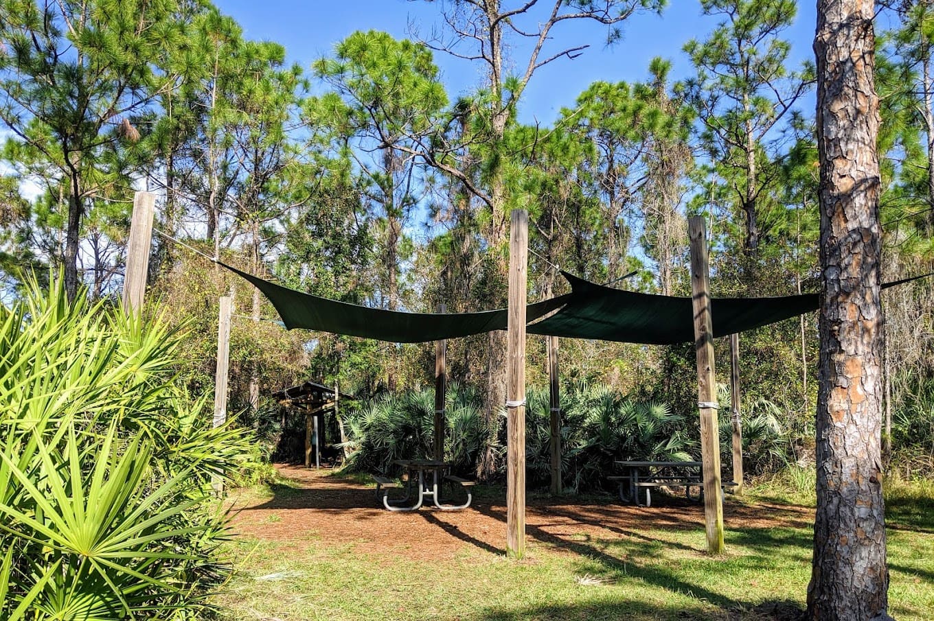 Oxbow Eco Center Trees