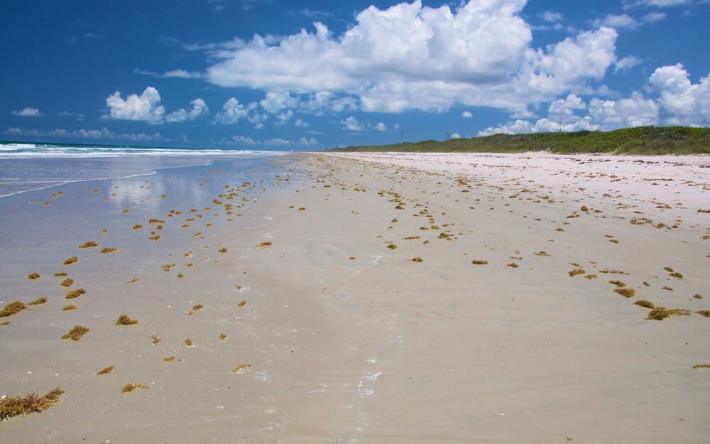 playalinda nude beach florida