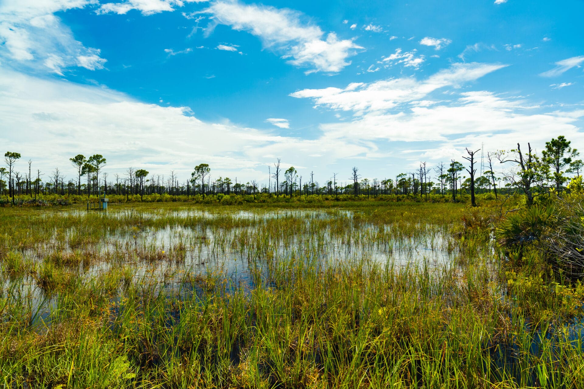 savannah preserve state park port st lucie