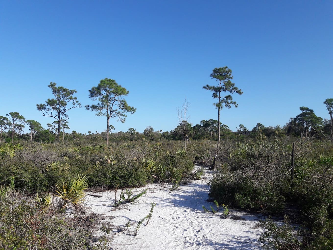 seabranch preserve hobe sound