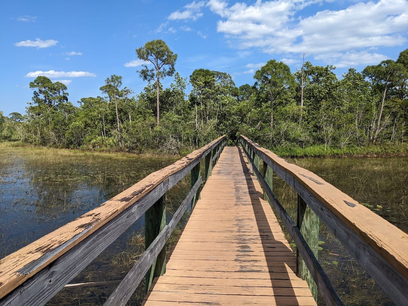 Spruce Bluff Preserve Boardwalk