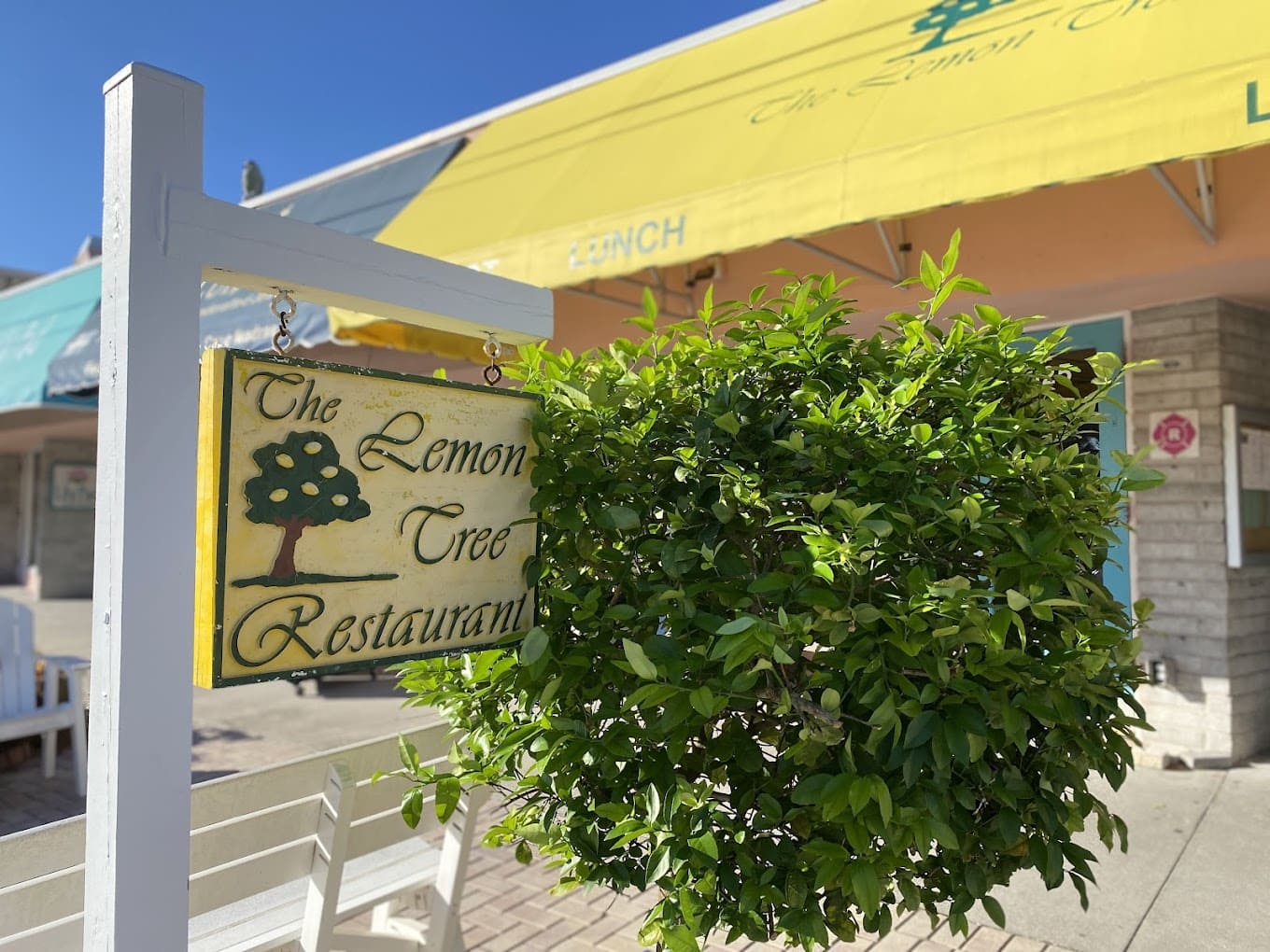 The Lemon Tree Vero Beach