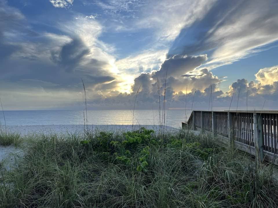 Wabasso Beach Grass