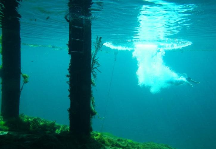 wakulla springs florida state park 